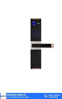 密碼指紋鎖 指紋鎖 志勇門業值得選擇 查看